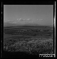 כפר חיטים.