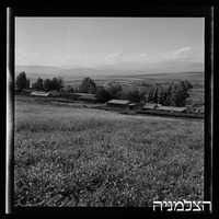 מצפה.