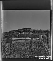 מנרה.