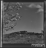 מנרה.