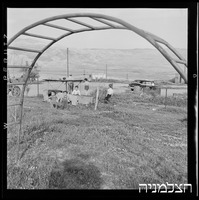 משגב עם.