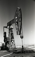 סיני, 4/1968.