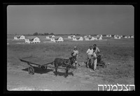 רסקו, כפר ארגנטינה.