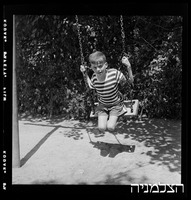 רסקו, גזר.