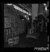 לבנט בונדד, החברה המזרחית למחבני ערובה (Levant Bonded Warehouses Company).