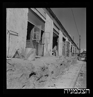 רסקו, גזר.