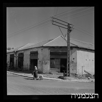 רסקו, גזר.