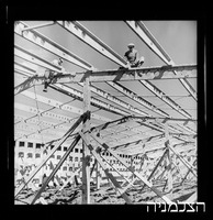 רסקו, כפר בילו.