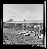 רסקו, כפר בילו.