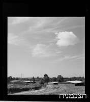 רסקו, כפר בילו.