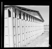 רסקו, כפר בילו.