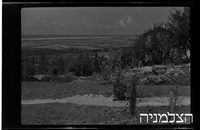 בריכות דגים, מעיין צבי.