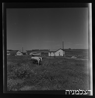 שדה ורבורג.