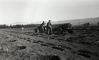 מטע, 2/1968.