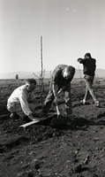 מטע, 2/1968.