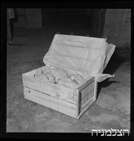 תע"ל - תעשיות עץ לבוד.