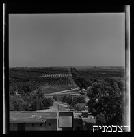 בית ליד.