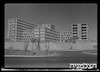 בית חולים הדסה, ירושלים – הספרייה הלאומית