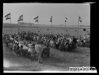 בית דראס ב', רסקו, מפעל חקלאי ותעשייתי.