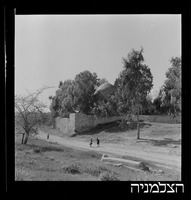 גבעת יונה (א-נבי יונס), מעל נמל אשדוד.