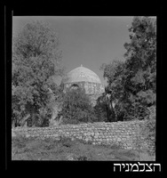 גבעת יונה (א-נבי יונס), מעל נמל אשדוד.