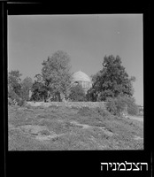 גבעת יונה (א-נבי יונס), מעל נמל אשדוד.