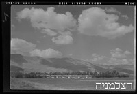 נאות מרדכי.