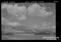 נאות מרדכי.