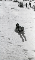 חרמון פורים, 3/1973.
