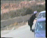 מפגש של דרוזים בארץ ובלבנון עם השייח אמין טריף