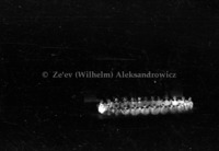 מופע ריקודים ב-Radio City Music Hall, מנהטן