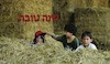 שנה טובה - קיבוץ עין-השופט – הספרייה הלאומית