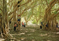 שנה טובה - קיבוץ שדה אליהו – הספרייה הלאומית