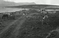 כפר הנשיא- התחלת הבנייה במקום חורף 1949 עד 1950 כרך 11.