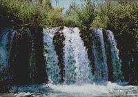 שנה טובה - שנת שלום - משק דפנה – הספרייה הלאומית