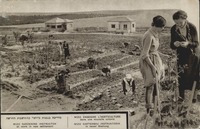 גלויה - מדריכה בגננות מויצו בהתיישבות החדשה – הספרייה הלאומית