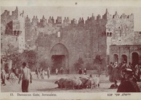 ירושלים, שער שכם – הספרייה הלאומית