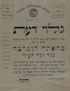 גלוי דעת - מחאתה הנמרצת נגד ועד העיר.