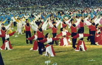 המכביה ה-14 - 1993.