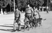 A new Police Oficers course ended with an impressive display at Shvaram police camp and with dog trainers.