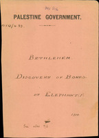 discovery of bones of elephants.