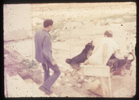 גבר ושני כלבים.
