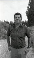 אילן אשל שער הגולן.