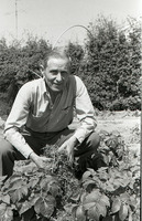 צמחוני נתניה.