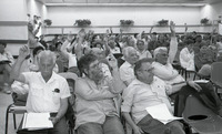 אלישע שפירא גבעת חביבה.