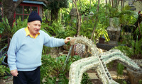 זקן(אילון).