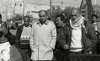 לסביות, הומואים צל ירוק.