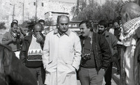 לסביות, הומואים צל ירוק.