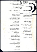 טקסט - 'פרדיננד השור'.