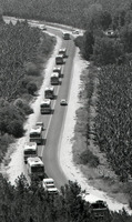 שיעים עוזבים את עתלית.